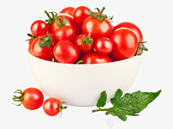 西红柿番茄水果素材