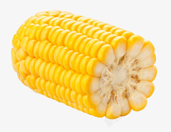 玉米杂粮水果玉米农作物粮食素材