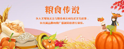 食品秋收粮食banner广告素材