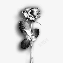 酸性金属玫瑰花素材