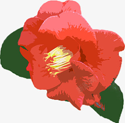 手绘水彩鲜花红花简单花卉素材