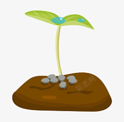 种子幼苗结构手绘绿色的幼苗插画高清图片