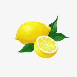 绿叶柠檬水果手绘素材