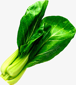 食材果蔬素菜绿色产品实物png免抠素材_88icon https://88icon.com 食材 果蔬 素菜 绿色 产品实物