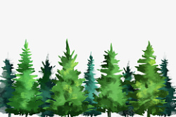 绿色树木树林夏天素材
