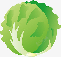 蔬菜插图生菜图片png免抠素材_88icon https://88icon.com 生菜 蔬菜 卡通 青菜