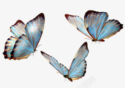 蓝色创意蝴蝶透明素材