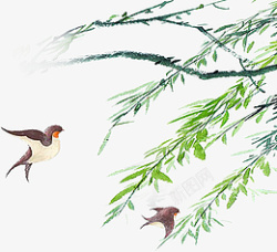 春天柳树燕子素材