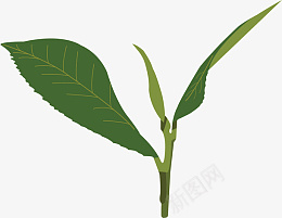 绿色叶子装饰物ai免抠素材_88icon https://88icon.com 装饰物 绿色 叶子 植物