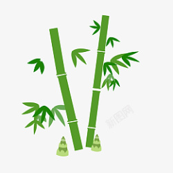 竹子竹叶和小竹笋素材
