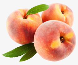 水蜜桃桃子水果素材