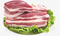 新鲜猪五花肉素材