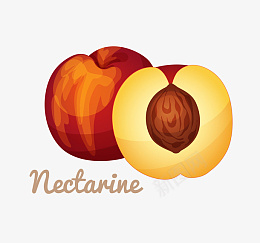 水果油桃eps免抠素材_88icon https://88icon.com nectarine 油桃 桃驳李 矢量油桃 水果油桃