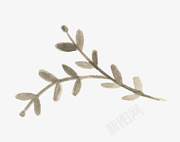 手绘的小藤蔓png免抠素材_88icon https://88icon.com 藤蔓 植物 小藤蔓 手绘