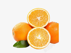 赣南脐橙水果素材