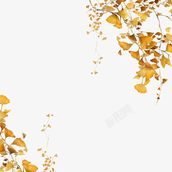 秋分秋季装饰画金黄银杏叶子素材
