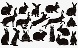 手绘兔子免抠图素材