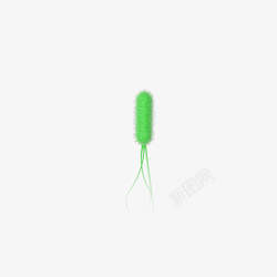 绿色的细菌细菌杆菌形态高清图片