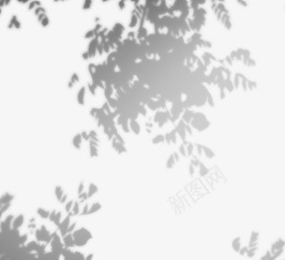 手绘创意树叶植物阴影png免抠素材_88icon https://88icon.com 叶子 手绘 投影 斑驳 树叶 植物 简约 阴影