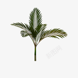 卡通手绘热带植物叶子png免抠素材_88icon https://88icon.com 卡通手绘热带植物叶子 卡通手绘 热带植物 叶子