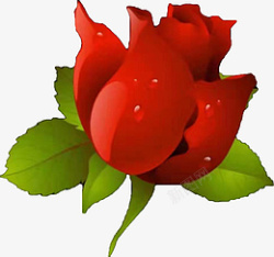 一朵红色玫瑰花元素素材素材素材