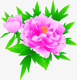 红色牡丹花花草png免抠素材_88icon https://88icon.com 红色 牡丹花 花 草