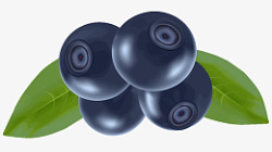 高清PNG蓝莓水果图片素材