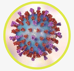 病毒与血球图片大肠埃及氏菌图标