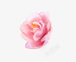 美丽粉色玫瑰花朵png免抠素材_88icon https://88icon.com 手绘图 玫瑰花朵 装饰 简图