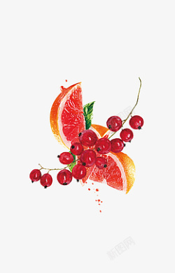 蔓越莓红西柚手绘果素材
