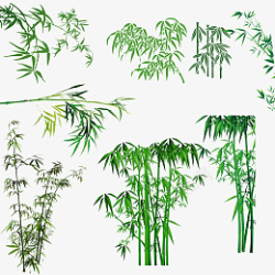 绿色清新小竹子素材