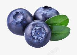 高清PNG蓝莓水果图片1素材