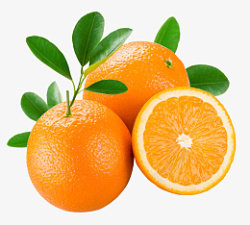 水果橙子橘子健康果肉素材