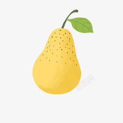 水果黄色梨素材