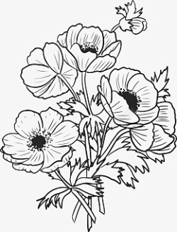 线稿花朵手绘花素材