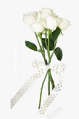 唯美婚礼邀请函礼结请柬玫瑰花png免抠素材_88icon https://88icon.com 唯美 婚礼邀请 请柬 玫瑰花