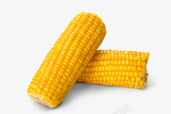玉米粮食食物两棒子素材