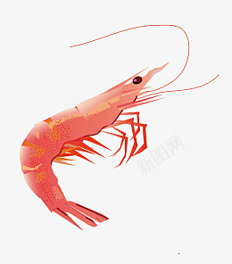 手绘皮皮虾海鲜插画png免抠素材_88icon https://88icon.com 手绘海鲜插画 皮皮虾插画 手绘美食 红色大虾 大虾