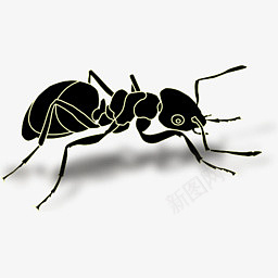 动物openiconlibraryothersicopng免抠素材_88icon https://88icon.com animals 动物 ant