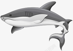 卡通高清PNG鲨鱼图片素材