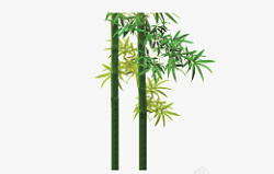 竹子绿植大自然竹素材
