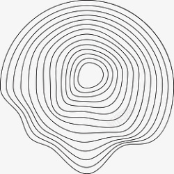 树轮树轮圆形线条素材高清图片