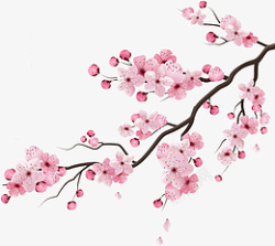 精美手绘中国风樱花斜枝素材素材