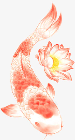 高清精美中国风手绘锦鲤插画素材素材