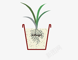 盆栽简笔绿植草png免抠素材_88icon https://88icon.com 盆栽 简笔 绿植 草