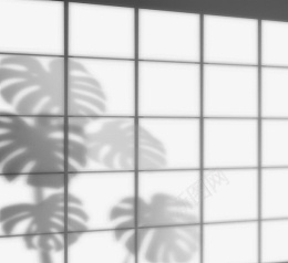 手绘创意窗户框植物投影png免抠素材_88icon https://88icon.com 光线 创意 叶子 影子 手绘 树叶 树叶阴影 阴影 龟背竹