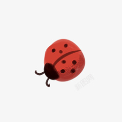 可爱的小虫子红色的七星瓢虫免抠图高清图片
