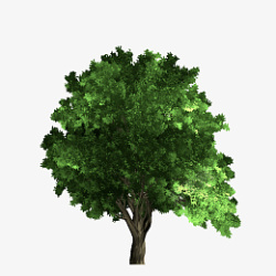 大型树木绿色免扣大型树木高清图片