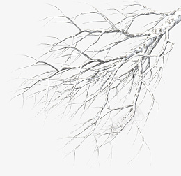 精美手绘水彩中国风冬天覆雪树枝插画素材png免抠素材_88icon https://88icon.com 手绘 中国风 水彩 雪树 覆雪 枯枝 冬天