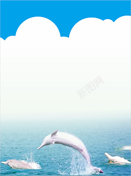 宣传单背景图png免抠素材_88icon https://88icon.com 宣传单 海报 背景图 蓝色海豚背景图
